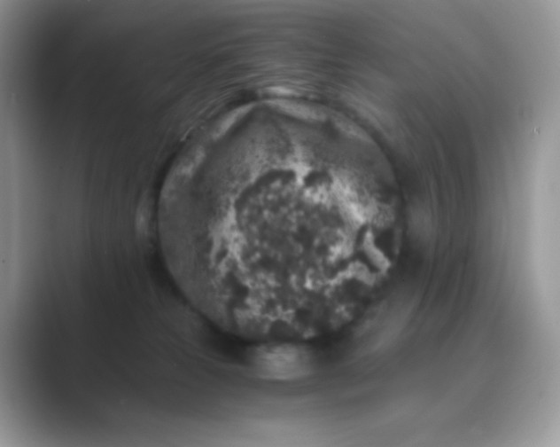 X0000089750181200707051822