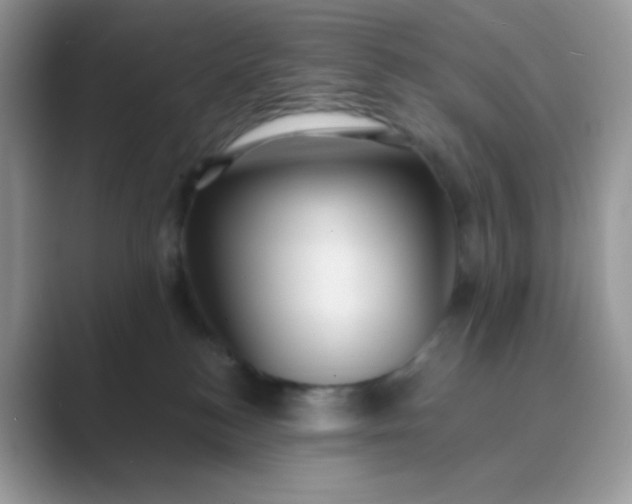 X0000089750184200707051822