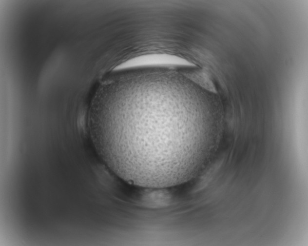 X0000089750185200707051822