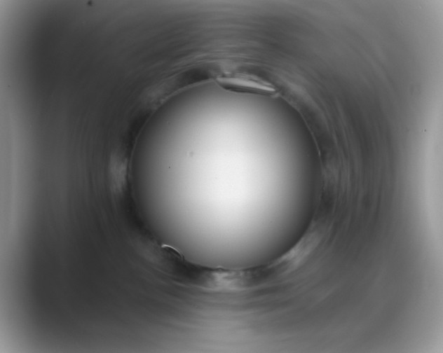 X0000089750188200707051822