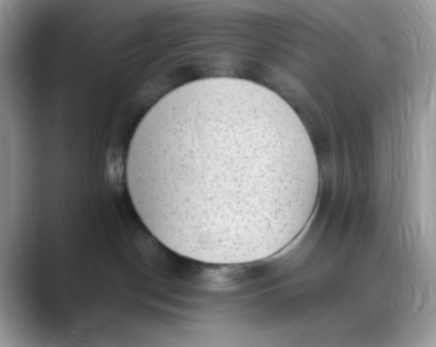 X0000089750190200707051822