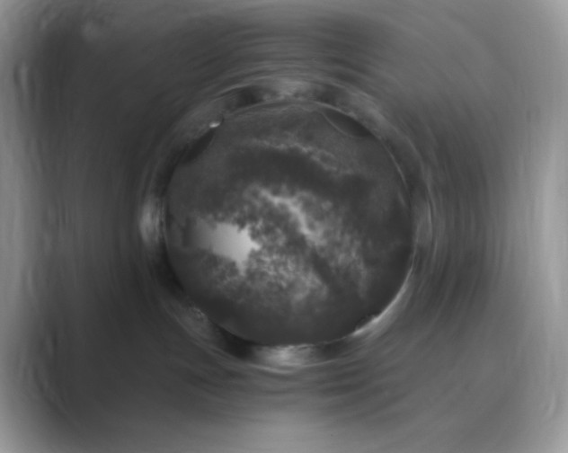 X0000089750191200707051822