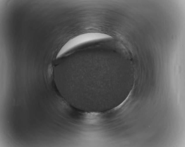 X0000089750192200707051822