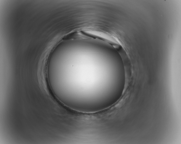 X0000089750193200707051821