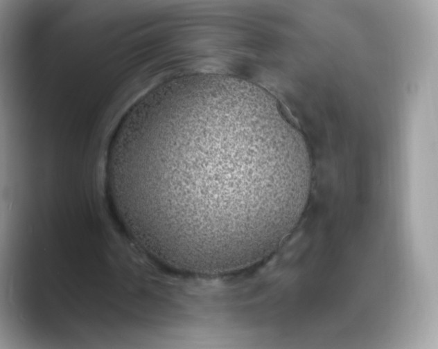 X0000089750194200707051821