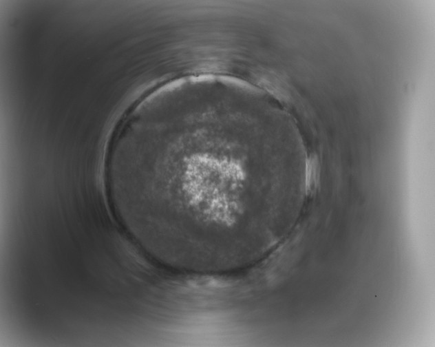 X0000089750195200707051821