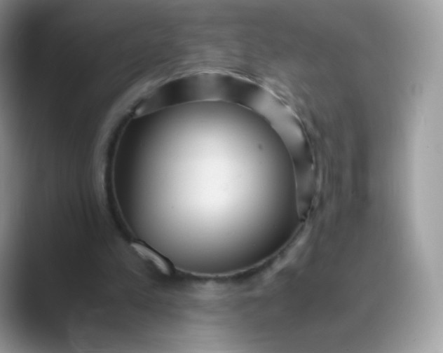 X0000089750197200707051821