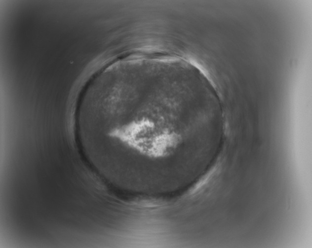 X0000089750199200707051821