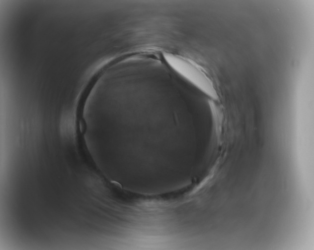 X0000089750200200707051821