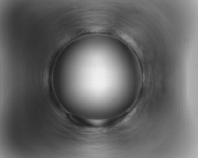 X0000089750201200707051821