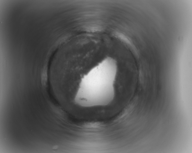 X0000089750202200707051821