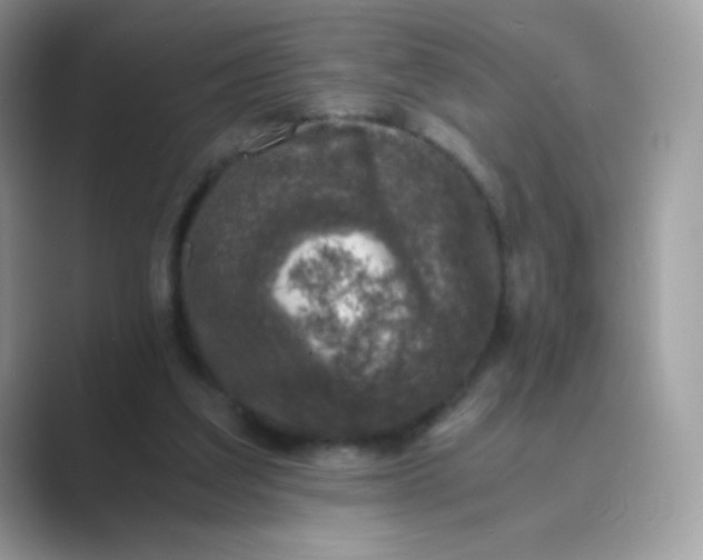 X0000089750203200707051821