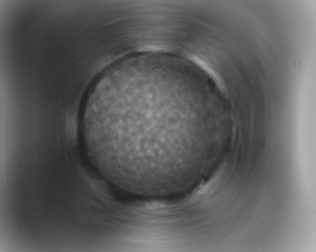 X0000089750204200707051821