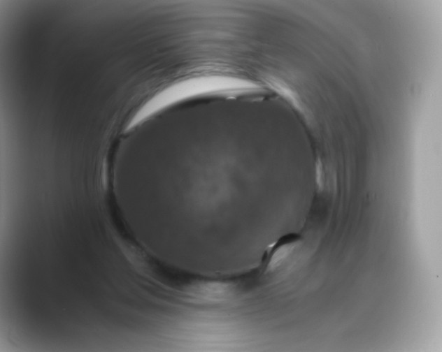 X0000089750205200707051821