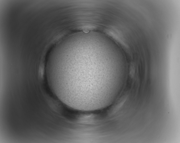 X0000089750206200707051821