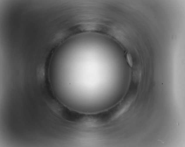 X0000089750207200707051821