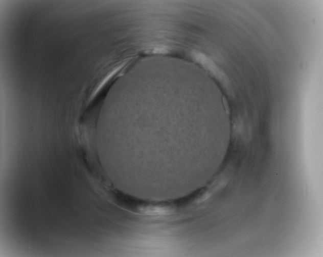 X0000089750209200707051821