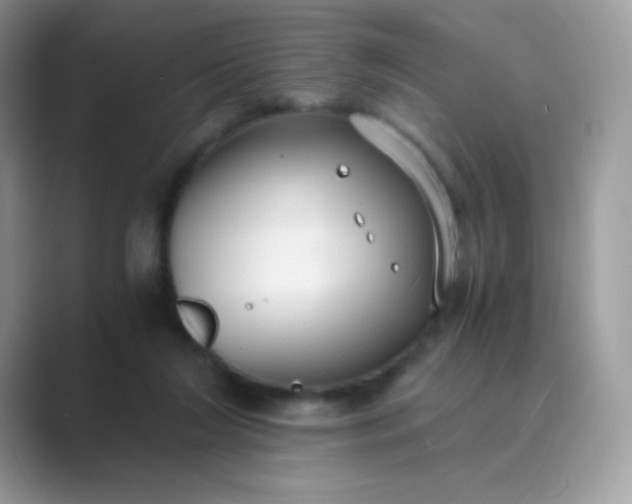 X0000089750212200707051821