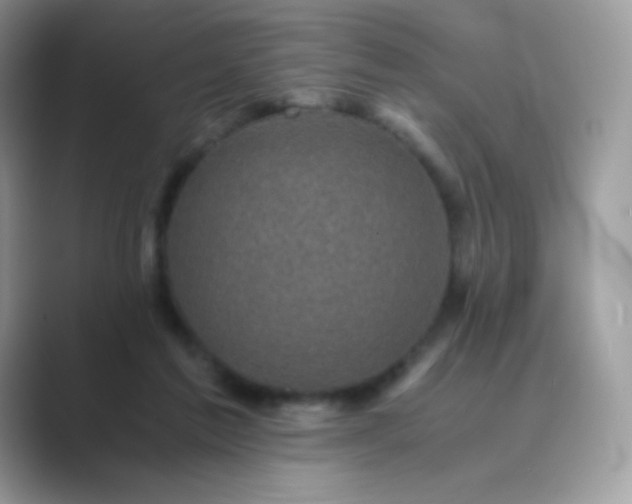 X0000089750213200707051821