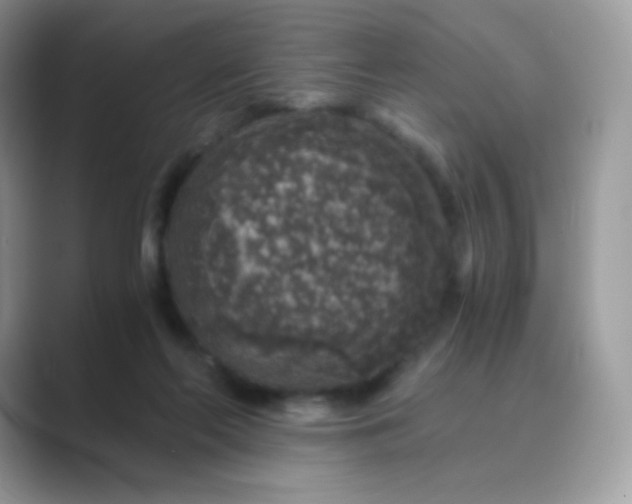 X0000089750214200707051821