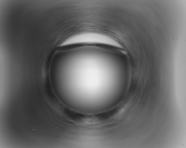 X0000089750215200707051821