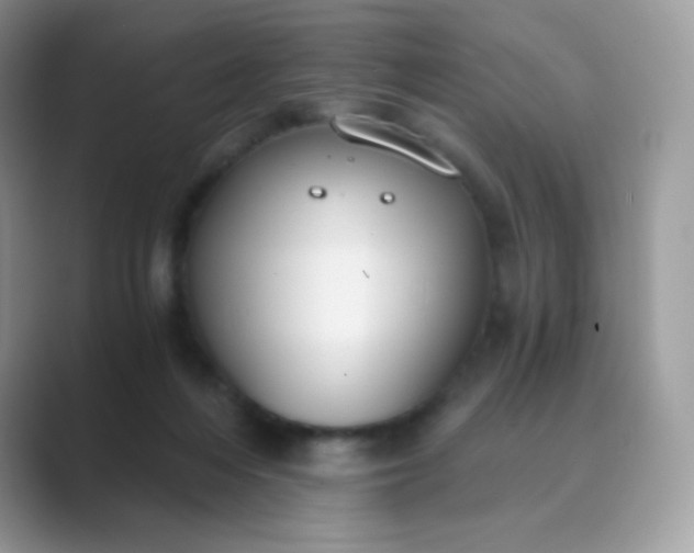 X0000089750216200707051821