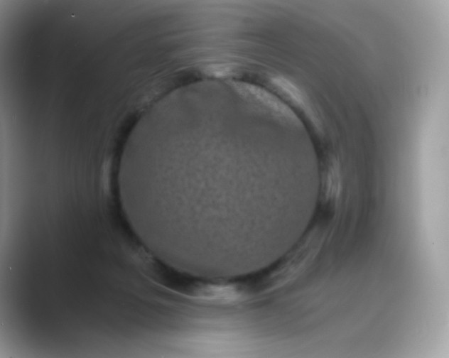 X0000089750217200707051821