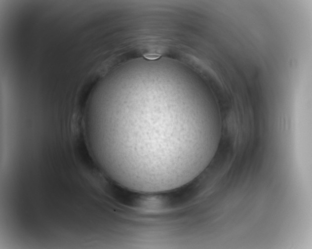 X0000089750218200707051821