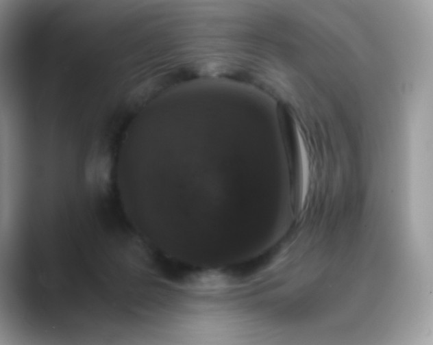 X0000089750219200707051821