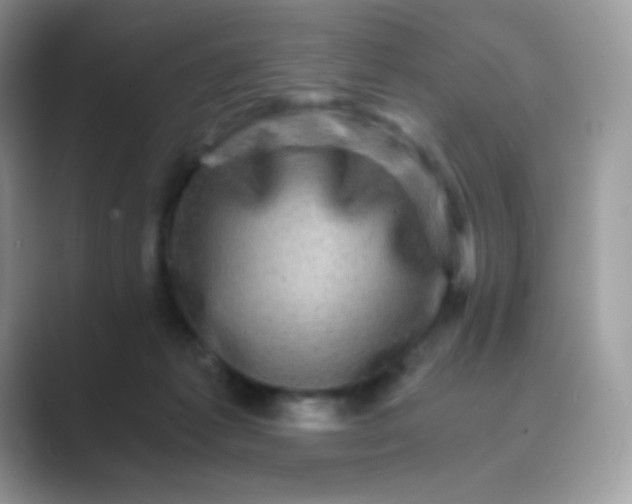 X0000089750221200707051821