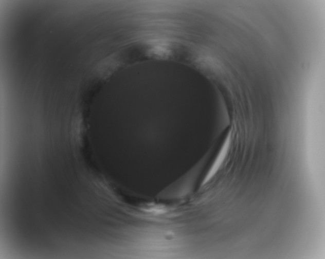 X0000089750223200707051821