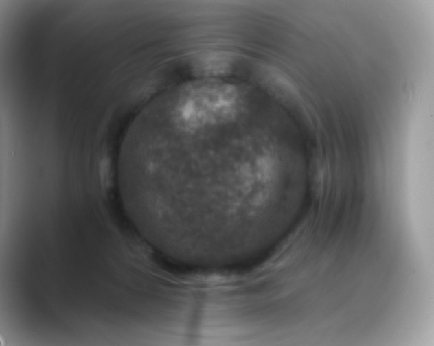 X0000089750224200707051821