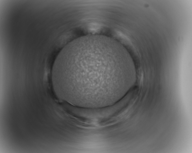 X0000089750225200707051821