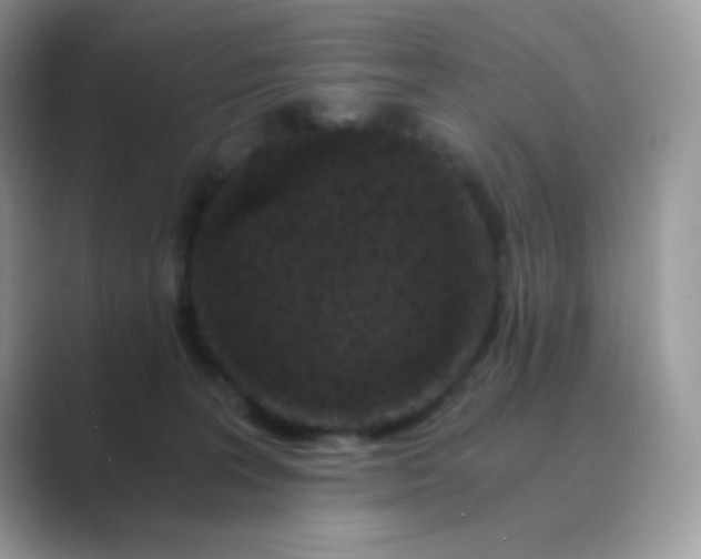 X0000089750227200707051821