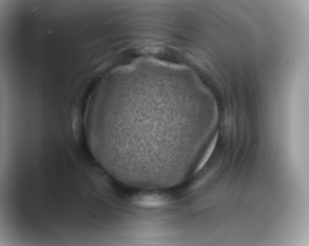 X0000089750228200707051821