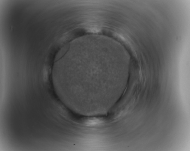 X0000089750229200707051821