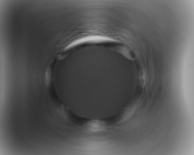 X0000089750231200707051821