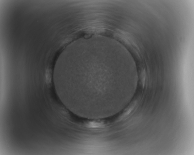 X0000089750232200707051821