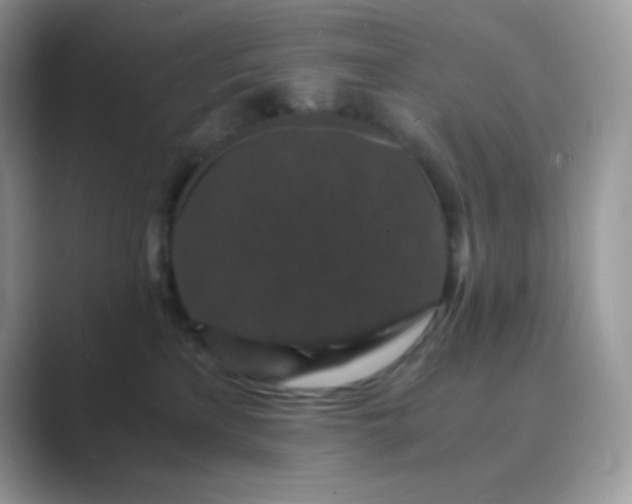 X0000089750233200707051821