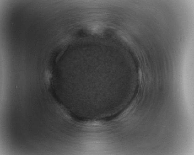 X0000089750235200707051821