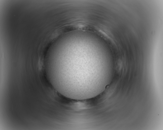 X0000089750236200707051821