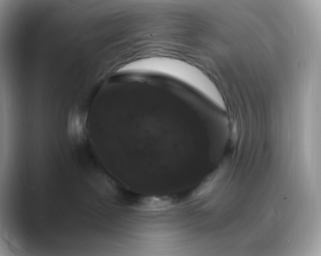 X0000089750239200707051821