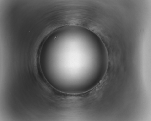 X0000089750242200707051820