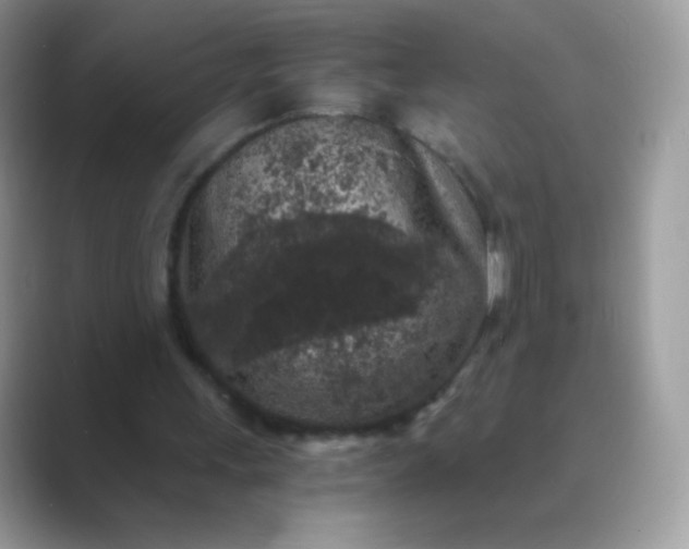 X0000089750243200707051820