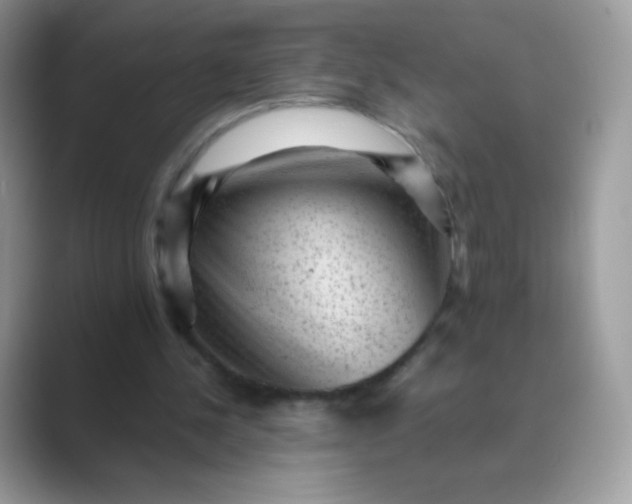 X0000089750244200707051820