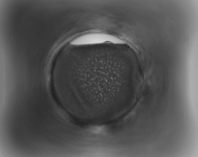 X0000089750247200707051820