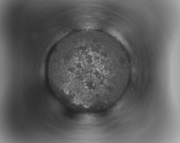 X0000089750250200707051820