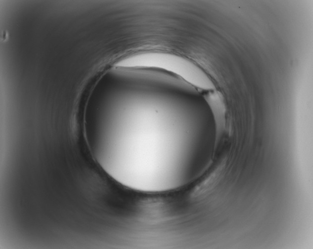 X0000089750252200707051820