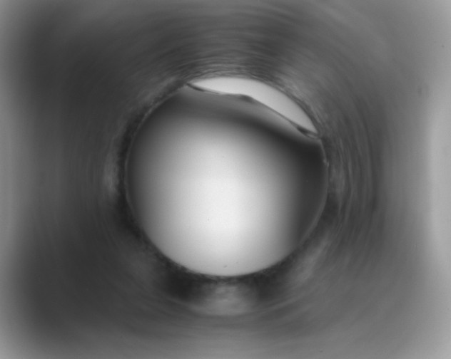 X0000089750255200707051820