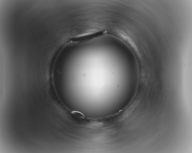 X0000089750257200707051820